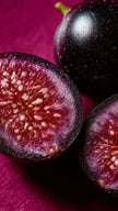 Blackcurrant